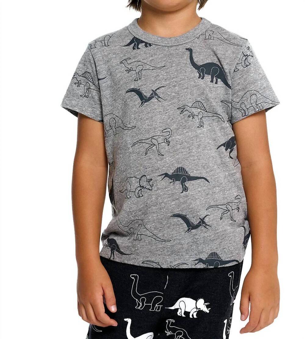 NEW CHASER boy's dino jam short sleeve tee in grey